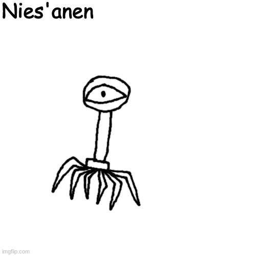 Like Elfiya's Sightseers but different looking | Nies'anen | made w/ Imgflip meme maker