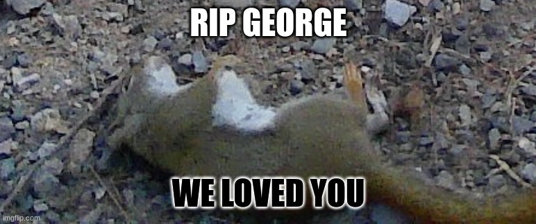 i found him in the woods lying near death... rip | RIP GEORGE; WE LOVED YOU | image tagged in geroegoeogere | made w/ Imgflip meme maker