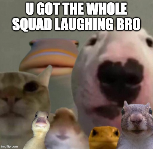 The council remastered | U GOT THE WHOLE SQUAD LAUGHING BRO | image tagged in the council remastered | made w/ Imgflip meme maker