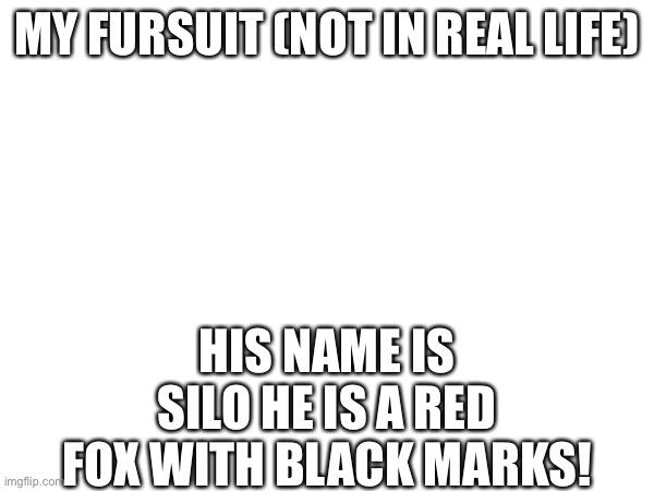 Sorry no Base :( | MY FURSUIT (NOT IN REAL LIFE); HIS NAME IS SILO HE IS A RED FOX WITH BLACK MARKS! | made w/ Imgflip meme maker