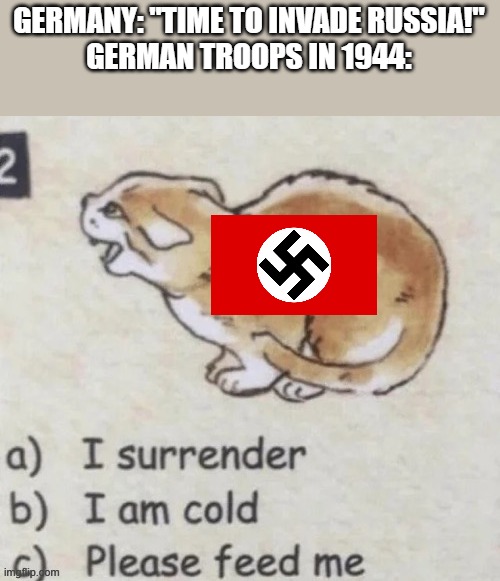 GERMANY: "TIME TO INVADE RUSSIA!"
GERMAN TROOPS IN 1944: | made w/ Imgflip meme maker