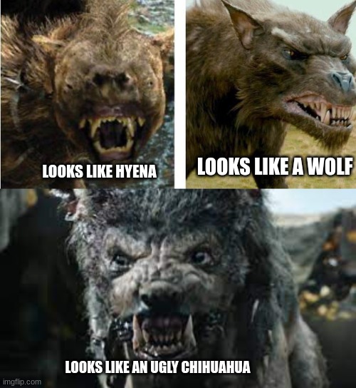 funny and true | LOOKS LIKE A WOLF; LOOKS LIKE HYENA; LOOKS LIKE AN UGLY CHIHUAHUA | image tagged in the lord of the rings | made w/ Imgflip meme maker