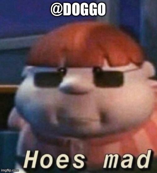 HOES MAD | @DOGGO | image tagged in hoes mad | made w/ Imgflip meme maker