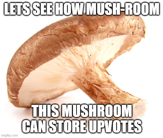 lets do this | LETS SEE HOW MUSH-ROOM; THIS MUSHROOM CAN STORE UPVOTES | image tagged in shiitake mushroom | made w/ Imgflip meme maker