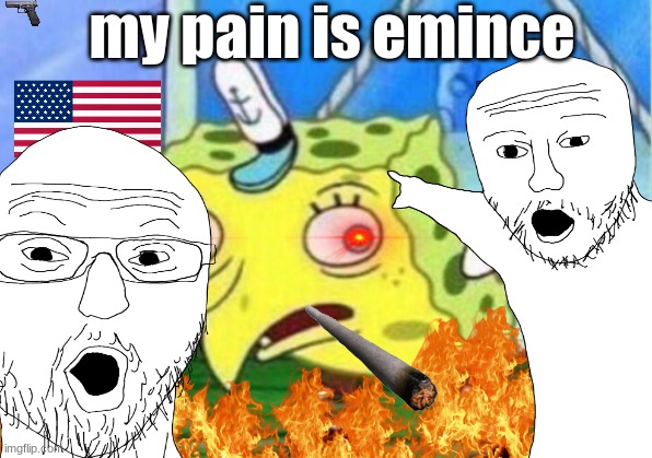 i live in america | my pain is emince | image tagged in memes,funny | made w/ Imgflip meme maker