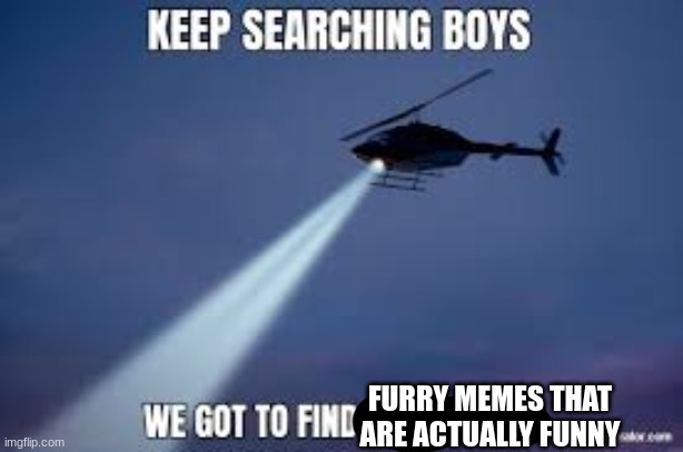 Keep Searching boys we gotta find | FURRY MEMES THAT ARE ACTUALLY FUNNY | image tagged in keep searching boys we gotta find | made w/ Imgflip meme maker