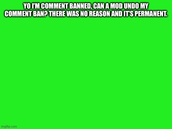 YO I’M COMMENT BANNED, CAN A MOD UNDO MY COMMENT BAN? THERE WAS NO REASON AND IT’S PERMANENT. | made w/ Imgflip meme maker