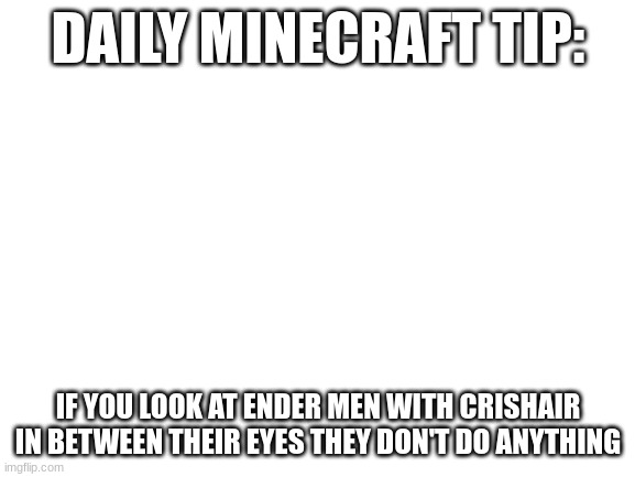 trueeeeeeeeee | DAILY MINECRAFT TIP:; IF YOU LOOK AT ENDER MEN WITH CRISHAIR IN BETWEEN THEIR EYES THEY DON'T DO ANYTHING | image tagged in blank white template,treee of trueeee | made w/ Imgflip meme maker