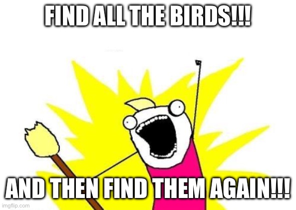 Birding Week In America | FIND ALL THE BIRDS!!! AND THEN FIND THEM AGAIN!!! | image tagged in memes,x all the y | made w/ Imgflip meme maker