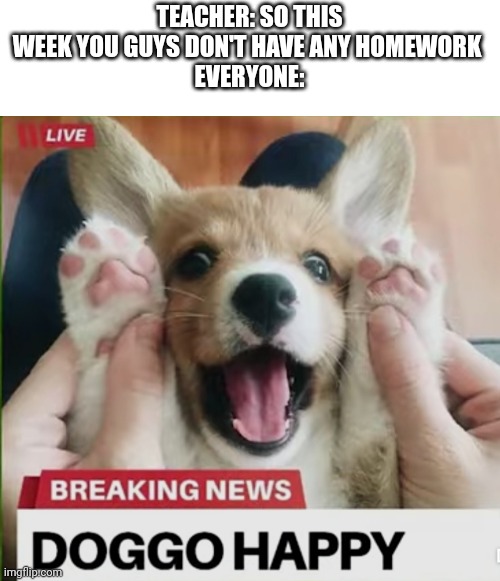 Doggo happy | TEACHER: SO THIS WEEK YOU GUYS DON'T HAVE ANY HOMEWORK 
EVERYONE: | image tagged in doggo happy,homework,school | made w/ Imgflip meme maker