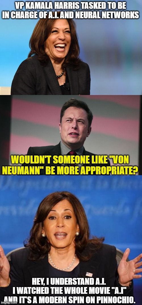 VP KAMALA HARRIS TASKED TO BE IN CHARGE OF A.I. AND NEURAL NETWORKS; WOULDN'T SOMEONE LIKE "VON NEUMANN" BE MORE APPROPRIATE? HEY, I UNDERSTAND A.I. 
I WATCHED THE WHOLE MOVIE "A.I" AND IT'S A MODERN SPIN ON PINNOCHIO. | image tagged in kamala harris laughing,confused elon musk,kamala harris | made w/ Imgflip meme maker
