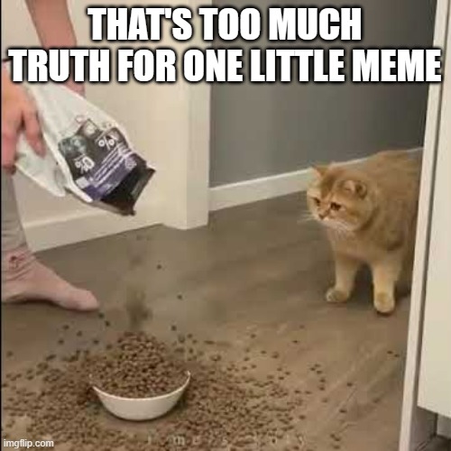 Overfilled | THAT'S TOO MUCH TRUTH FOR ONE LITTLE MEME | image tagged in overfilled | made w/ Imgflip meme maker