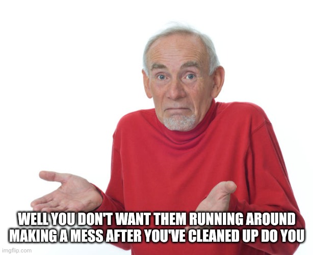 Guess i’ll die | WELL YOU DON'T WANT THEM RUNNING AROUND MAKING A MESS AFTER YOU'VE CLEANED UP DO YOU | image tagged in guess i ll die | made w/ Imgflip meme maker