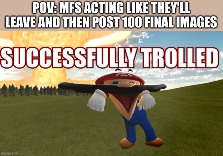 POV: MFS ACTING LIKE THEY'LL LEAVE AND THEN POST 100 FINAL IMAGES | image tagged in successfully trolled | made w/ Imgflip meme maker