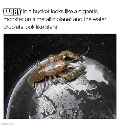 YABBY | made w/ Imgflip meme maker