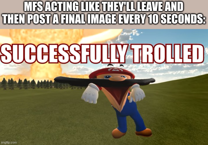 MFS ACTING LIKE THEY'LL LEAVE AND THEN POST A FINAL IMAGE EVERY 10 SECONDS: | image tagged in successfully trolled | made w/ Imgflip meme maker