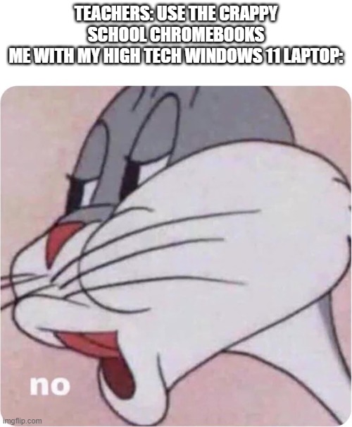 tbh they are just crappy cause doug ford cut the schools budget the stupid idiot | TEACHERS: USE THE CRAPPY SCHOOL CHROMEBOOKS
ME WITH MY HIGH TECH WINDOWS 11 LAPTOP: | image tagged in bugs bunny no,chromebook | made w/ Imgflip meme maker