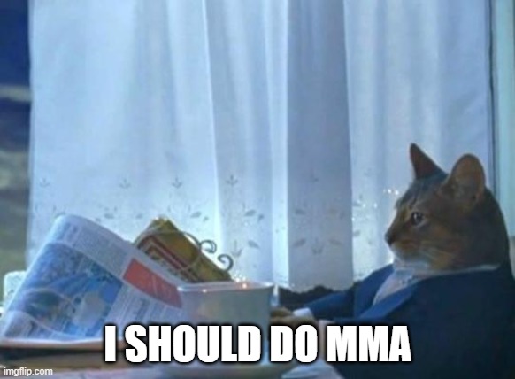 Cat newspaper | I SHOULD DO MMA | image tagged in cat newspaper | made w/ Imgflip meme maker