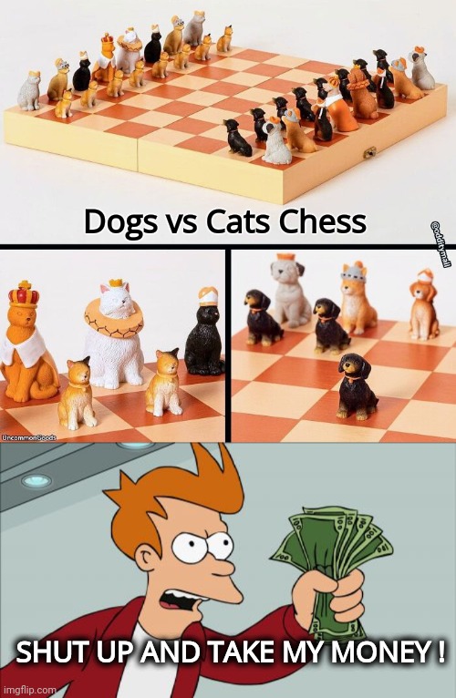 My Birthday is coming up | Dogs vs Cats Chess; SHUT UP AND TAKE MY MONEY ! | image tagged in memes,shut up and take my money fry,chess,i need it,playing | made w/ Imgflip meme maker