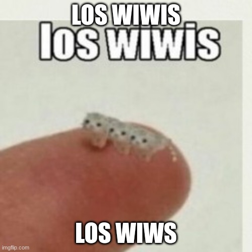 los wiwis | LOS WIWIS; LOS WIWS | image tagged in los wiwis | made w/ Imgflip meme maker