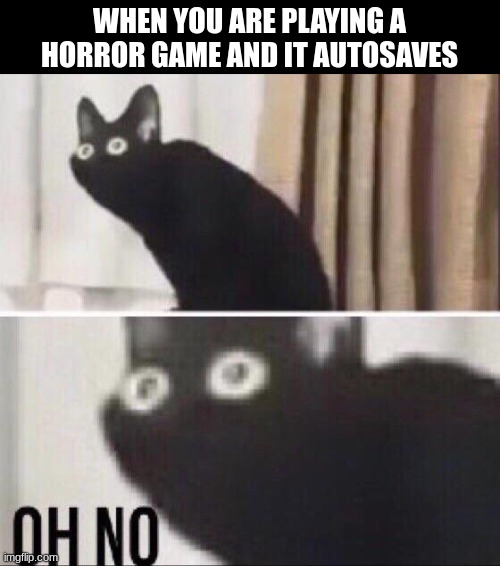that feeling is scary | WHEN YOU ARE PLAYING A HORROR GAME AND IT AUTOSAVES | image tagged in oh no cat,funny,memes,gaming,horror | made w/ Imgflip meme maker