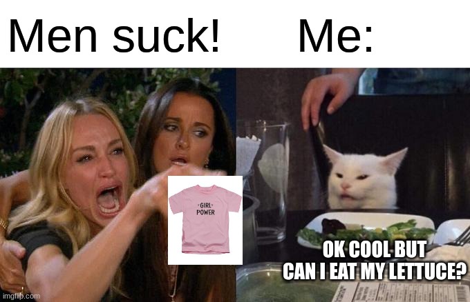 What did i ever do to you? :(      (story of my life) | Men suck! Me:; OK COOL BUT CAN I EAT MY LETTUCE? | image tagged in memes,woman yelling at cat | made w/ Imgflip meme maker