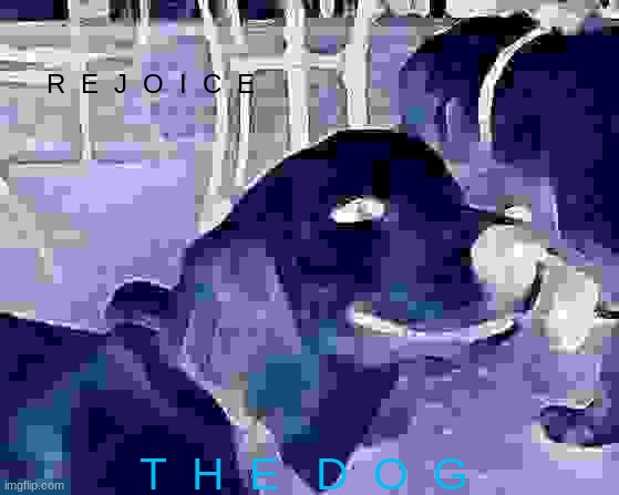 R   E   J   O   I   C   E | R  E  J  O  I  C  E; T  H  E   D  O  G | image tagged in dog smiling | made w/ Imgflip meme maker