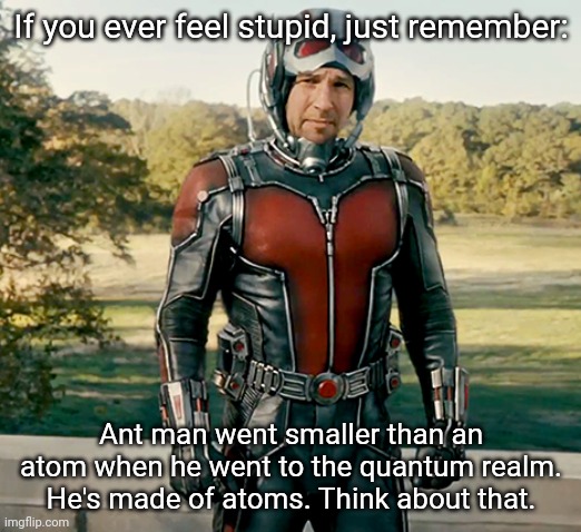 Marvel did an oopsie | If you ever feel stupid, just remember:; Ant man went smaller than an atom when he went to the quantum realm. He's made of atoms. Think about that. | image tagged in ant man | made w/ Imgflip meme maker