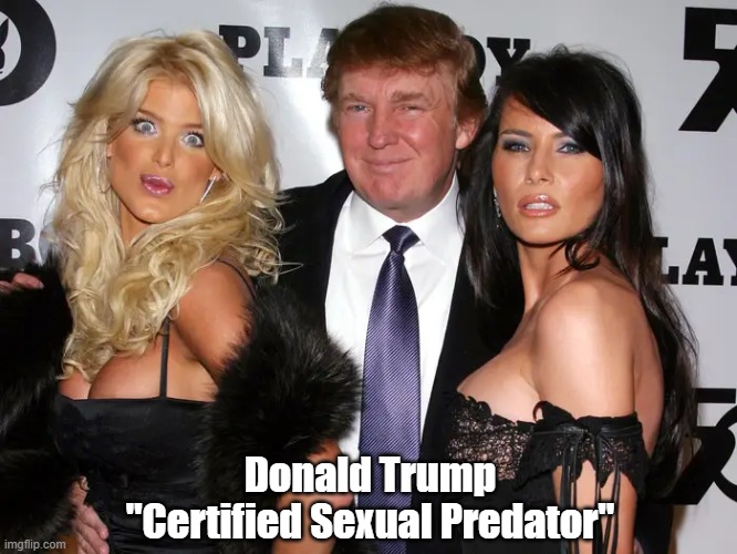 Donald Trump Is A Certified Sexual Predator | Donald Trump
"Certified Sexual Predator" | image tagged in trump,e jean carroll,trump found guilty,trump ordered to pay 5 million dollar fine to his victim | made w/ Imgflip meme maker