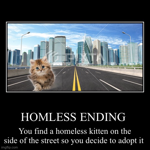 HOMLESS ENDING | You find a homeless kitten on the side of the street so you decide to adopt it | image tagged in funny,demotivationals | made w/ Imgflip demotivational maker