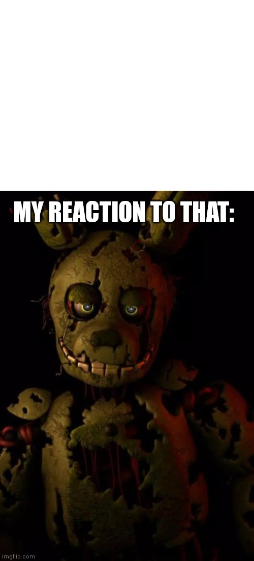 My reaction | MY REACTION TO THAT: | image tagged in fnaf | made w/ Imgflip meme maker