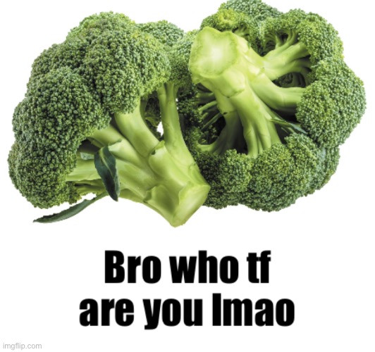 Bro who tf are you lmao | image tagged in bro who tf are you lmao | made w/ Imgflip meme maker