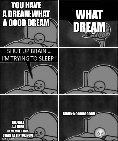 shut up brain, i'm trying to sleep | YOU HAVE A DREAM:WHAT A GOOD DREAM; WHAT DREAM; BRAIN:NOOOOOOOO!! THE ONE I J... I DONT REMEMBER IMA STARE AT TIKTOK NOW | image tagged in shut up brain i'm trying to sleep | made w/ Imgflip meme maker