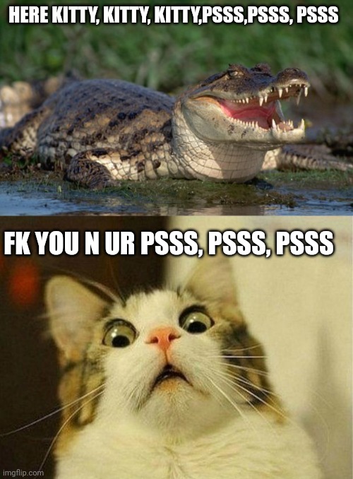 HERE KITTY, KITTY, KITTY,PSSS,PSSS, PSSS; FK YOU N UR PSSS, PSSS, PSSS | image tagged in alligator,memes,scared cat | made w/ Imgflip meme maker