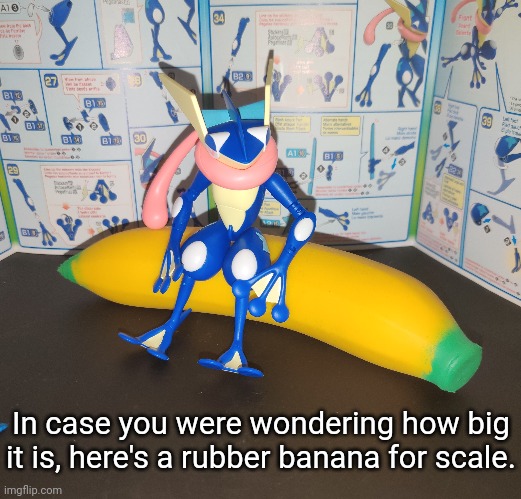 It's about the same size as a regular banana | In case you were wondering how big it is, here's a rubber banana for scale. | made w/ Imgflip meme maker