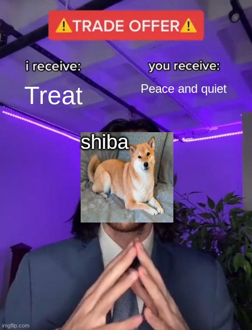 Trade Offer | Treat; Peace and quiet; shiba | image tagged in trade offer | made w/ Imgflip meme maker