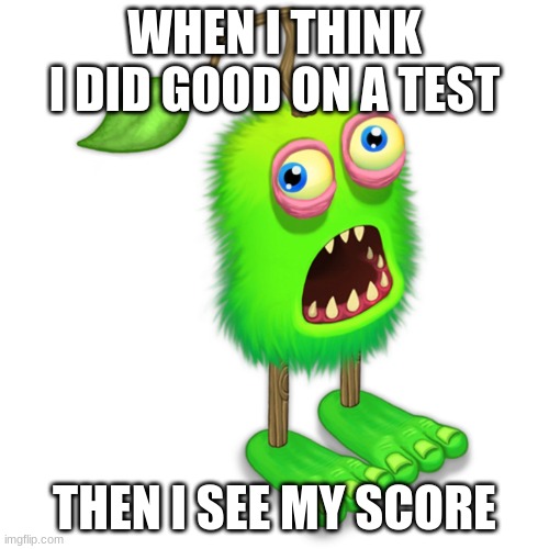 AN F | WHEN I THINK I DID GOOD ON A TEST; THEN I SEE MY SCORE | image tagged in surprised monster | made w/ Imgflip meme maker