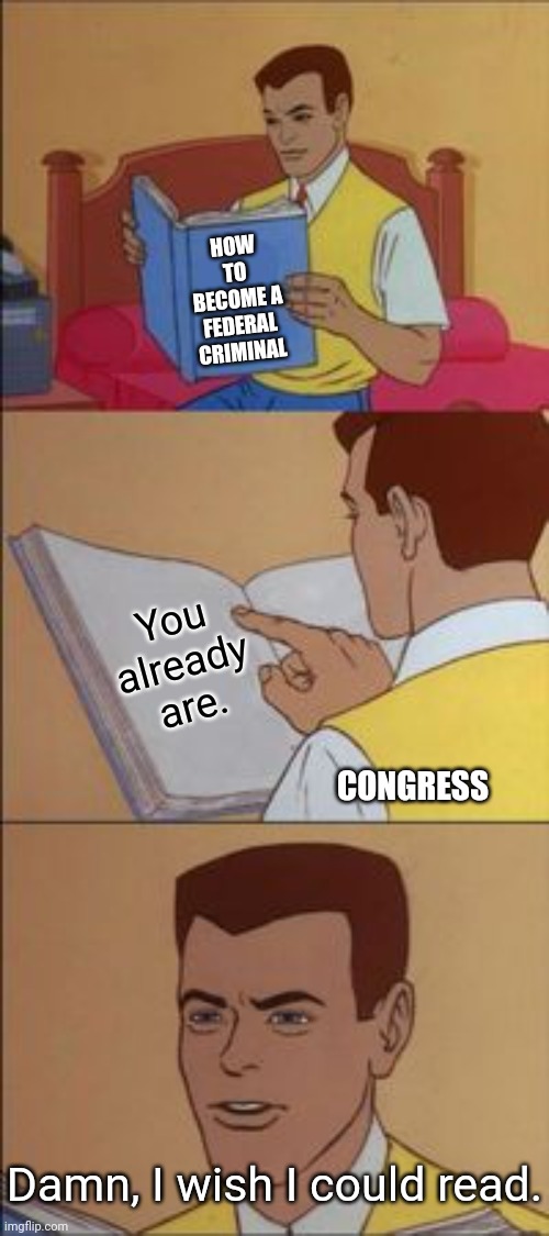 In light of current events | HOW TO BECOME A FEDERAL CRIMINAL; You already are. CONGRESS; Damn, I wish I could read. | image tagged in peter parker reading a book | made w/ Imgflip meme maker