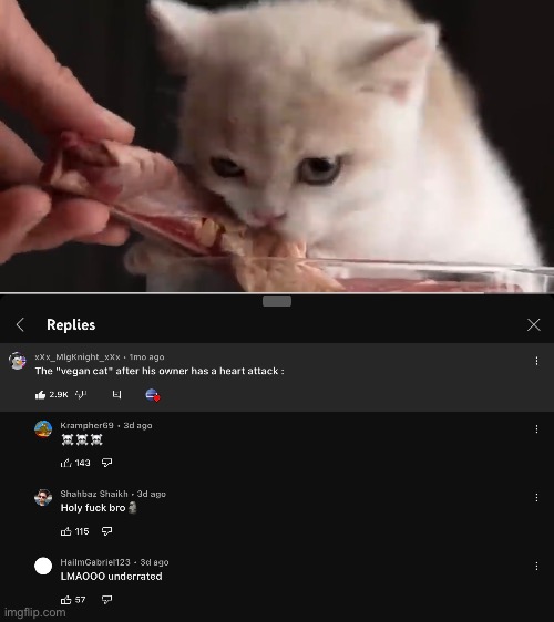 Hmmm moment | image tagged in kitten eating steak,doom,cursed,youtube,comments | made w/ Imgflip meme maker