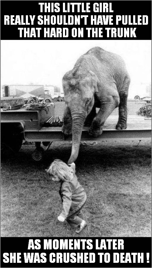 A Novel Way To Go ! | THIS LITTLE GIRL REALLY SHOULDN'T HAVE PULLED  THAT HARD ON THE TRUNK; AS MOMENTS LATER SHE WAS CRUSHED TO DEATH ! | image tagged in elephant,little girl,crushed,dark humour | made w/ Imgflip meme maker