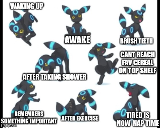 Morning Routine for Rocky the Umbreon | image tagged in morning | made w/ Imgflip meme maker