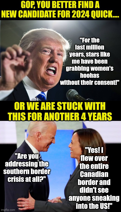 Ok stick a fork in Trump, he's done. But that does not mean the country needs to suffer 4 more years of Dementia & Giggles. | GOP, YOU BETTER FIND A NEW CANDIDATE FOR 2024 QUICK.... "For the last million years, stars like me have been grabbing women's hoohas without their consent!"; "Yes! I flew over the entire Canadian border and didn't see anyone sneaking into the US!"; OR WE ARE STUCK WITH THIS FOR ANOTHER 4 YEARS; "Are you addressing the southern border crisis at all?" | image tagged in donald trump,biden harris,court,its official,democrats,voting | made w/ Imgflip meme maker