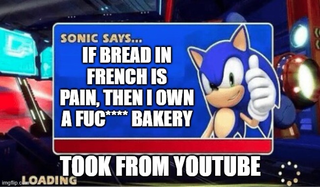 sonic has a bakery | IF BREAD IN FRENCH IS PAIN, THEN I OWN A FUC**** BAKERY; TOOK FROM YOUTUBE | image tagged in sonic says | made w/ Imgflip meme maker