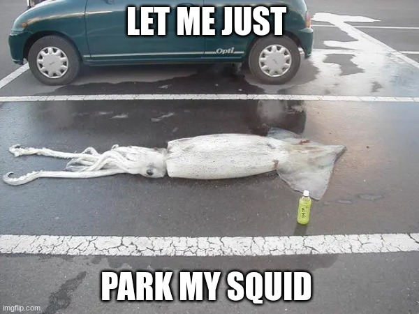 LET ME JUST; PARK MY SQUID | made w/ Imgflip meme maker