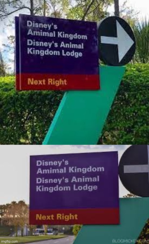 Disney spelling mistake (animal not aminal) | image tagged in memes,you had one job | made w/ Imgflip meme maker