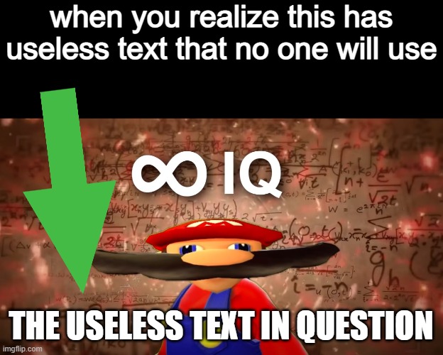 Infinite IQ Mario | when you realize this has useless text that no one will use; THE USELESS TEXT IN QUESTION | image tagged in infinite iq mario | made w/ Imgflip meme maker