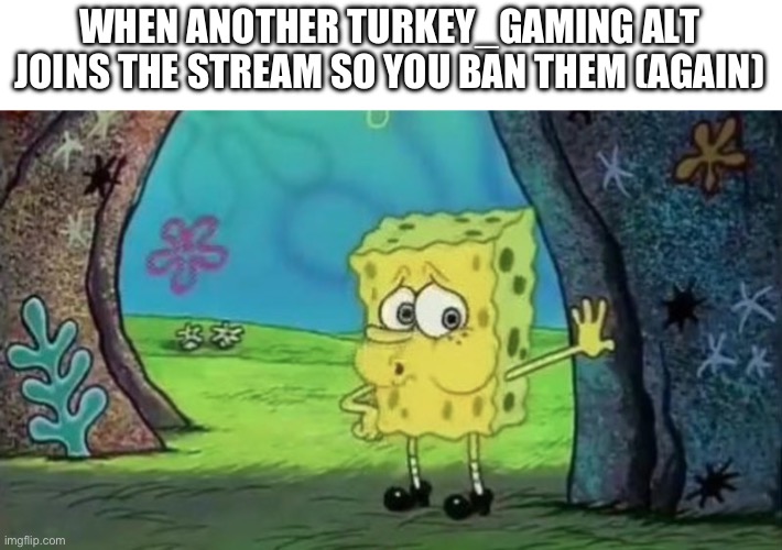 spong bob tired | WHEN ANOTHER TURKEY_GAMING ALT JOINS THE STREAM SO YOU BAN THEM (AGAIN) | image tagged in spong bob tired | made w/ Imgflip meme maker