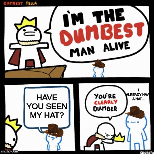 I'm the dumbest man alive | I ALREADY HAVE A HAT... HAVE YOU SEEN MY HAT? | image tagged in i'm the dumbest man alive | made w/ Imgflip meme maker