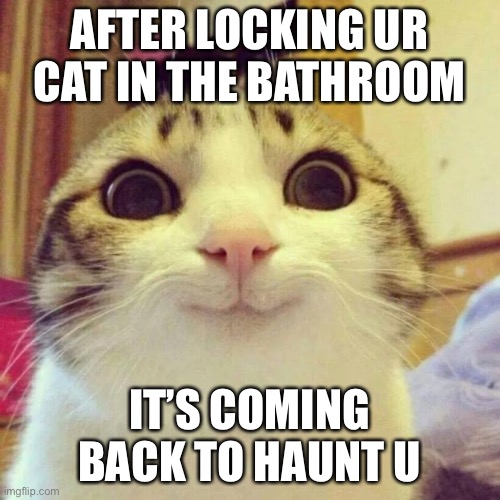 Smiling Cat | AFTER LOCKING UR CAT IN THE BATHROOM; IT’S COMING BACK TO HAUNT U | image tagged in memes,smiling cat | made w/ Imgflip meme maker