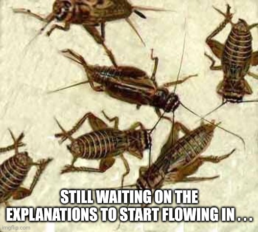 Crickets | STILL WAITING ON THE EXPLANATIONS TO START FLOWING IN . . . | image tagged in crickets | made w/ Imgflip meme maker